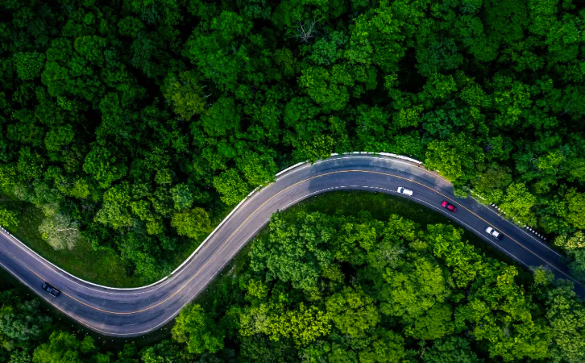 Lire la suite à propos de l’article Suivi CO₂ : 5 indicateurs clés pour optimiser l’empreinte carbone de vos véhicules pros